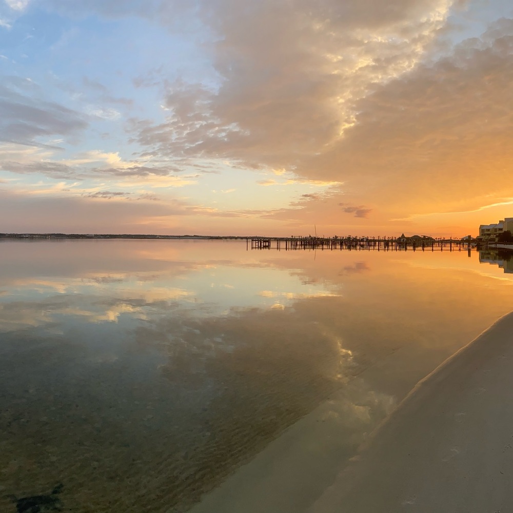 Meet your Posher, Posh